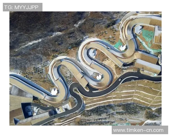 体育强国建设推动全民健身与竞技体育协调高质量发展路径研究