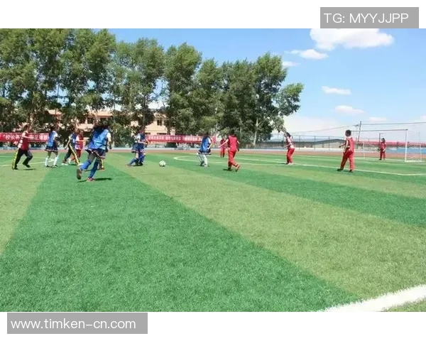 湘潭队足球奋勇拼搏再创辉煌激励青年传承体育精神