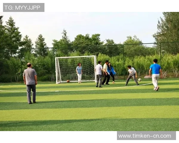 足球激情四溢，探索全球顶级联赛与明星球员的魅力与风采